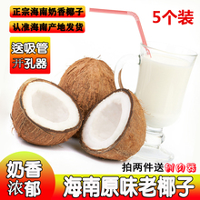 海南5qi 新鲜当季an去皮椰青椰宝国毛耶子孕妇老原味