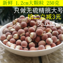 5送1qp妈散装新货tc特级红皮米鸡头米仁新鲜干货250g