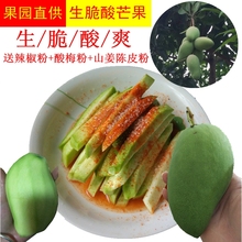 海南三qr生吃芒(小)象wg新鲜酸脆青云南广西辣椒腌制5斤