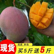 越南青qr鲜包邮当季wg箱10斤非攀枝花特大青芒现摘现发