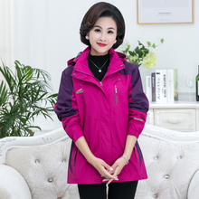 特大码qs妈装外套春cj式中老年女运动服老的冲锋衣中年女风衣