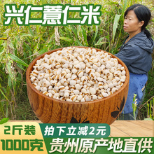 新货贵qs兴仁农家特cj薏仁米1000克仁包邮薏苡仁粗粮