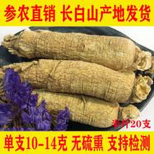 正宗东qu长白山泡水ai 精选花旗参段250g包邮可切片打粉