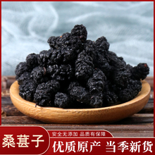 新疆特qy新鲜桑葚子bk干果黑桑葚无沙桑椹干50g中药材店铺