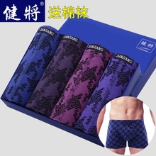 健将礼qy纯棉男平角or四角短裤衩宽松运动透气青年