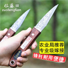 苗木嫁rs芽接刀嫁接s1树刀果削刀接树刀接树刀工具