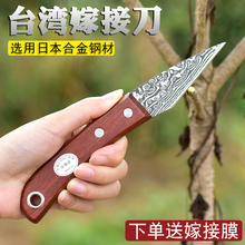 园艺果rw嫁接专用刀bw进口专业嫁接工具苗木接树削木刀芽接刀