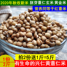 202rw新米贵州兴hq000克新鲜薏仁米(小)粒五谷米杂粮黄薏苡仁