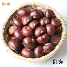 201sa板栗 生 an斤装野毛粟甘栗仁3斤农家特产带红壳栗(小)农