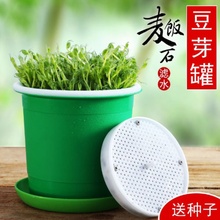 豆芽罐sa用生麦饭石an芽菜种植桶发绿豆黄豆全自动