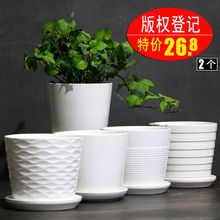 大号白sa陶瓷清仓带an大号绿萝吊兰多肉室内特价