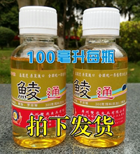 黑坑野sc鲮鱼香精鲤xw钓鱼浓星(小)药泰鲮麦鲮土鲮鱼饵料鲮通