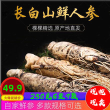 鲜参2sf0g半斤装en东北长白山新鲜的参非炖汤泡酒包邮