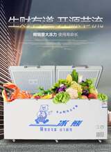 冰熊Bsf/BD-5sj管商用大容积卧式冷冻冷藏转换单温冰柜/低温柜