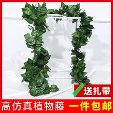 仿真葡sh叶树叶子绿ng绿植物水管道缠绕假花藤条藤蔓吊顶装饰