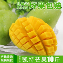 青玉新sh10斤攀枝dz广西桂七百色金煌鹰嘴特大青芒
