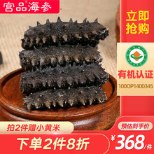 宫品海sh4A纯淡干fw0g 4-12只棕盒 海参干货 刺参发泡即食