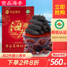 宫品海sh 5A高端fw海参50g 4-14只红盒 刺参海参 发泡即食