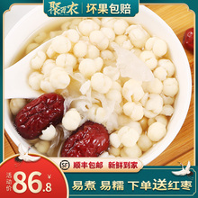 500sh包邮特级新ng江苏省苏州特产鸡头米苏白茨实食用