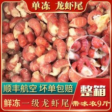 冻龙虾sh冷冻虾尾鲜ng虾虾尾大号虾球包邮生鲜冰冻虾尾一整箱