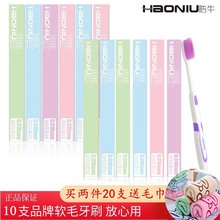 皓牛碳sh棉丝刷头(小)qs侣软毛男女通用牙刷家用10支特惠独立装