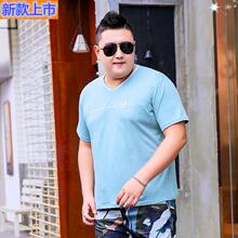 专柜正sm秋季短袖领db的恤衫宽松大号肥佬上衣显瘦服饰