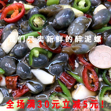 醉泥螺sq城温州宁波ny特产即食黄泥螺苏北农村无沙大泥螺包邮