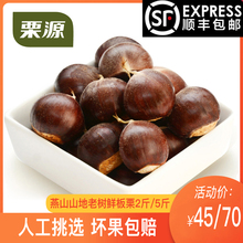 202sq年燕山板栗ny地老树生板栗3斤/5斤散装油栗河北特产