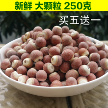 5送1sx妈散装新货fb特级红皮芡实米鸡头米芡实仁新鲜干货250g