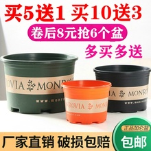 塑料矮sx加仑花盆绿hc室外大口径清仓特价包邮加厚多肉加仑盆