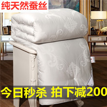 正品蚕ta被100%ao春秋被子母被全棉空调被纯手工冬被婚庆被芯