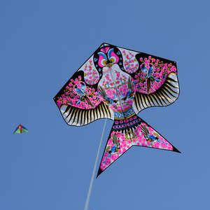 品牌名称: 现代风筝