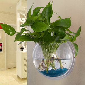 约水培植物花瓶透明风信子塑料花瓶水养绿萝 