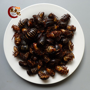 土元野生虫子美食油炸土鳖虫即食土鳖子美味地鳖虫