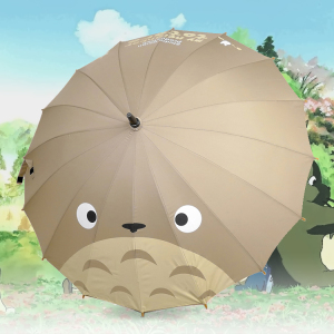 动漫宫崎骏龙猫晴雨伞图片