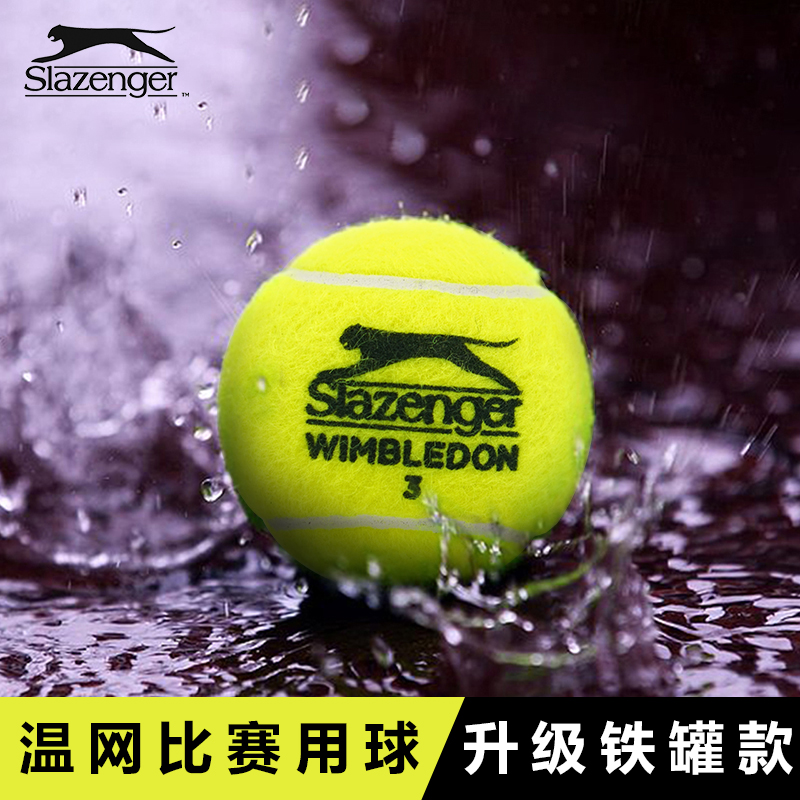 Slazenger史莱辛格网球球温网比赛用球施单人练习初学者训练球3只