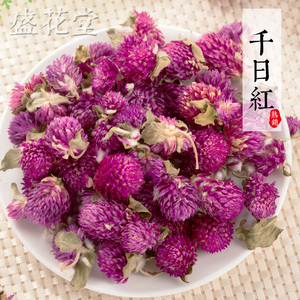 千日红干花茶图片