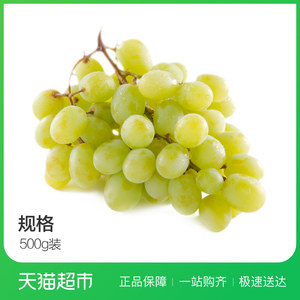 美國無籽青提500g span class=h>提子 /span>新鮮 span class=h>水果