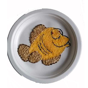 小肥鱼  span class=h>五谷 /span> span class=h>杂粮 /span>黏 span