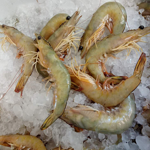 青岛大虾鲜活基围虾超大活虾冻虾对虾海虾海鲜水产鲜虾青虾4斤 ￥128