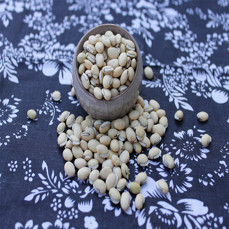 2斤包邮云南农家白扁豆 老品种药豆 精选杂粮养生粥可打粉500克