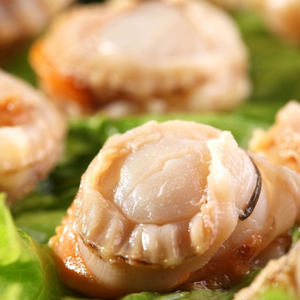 聚福鲜 元贝肉冷冻 span class=h>扇贝肉 /span> 全贝肉1kg 新鲜海鲜