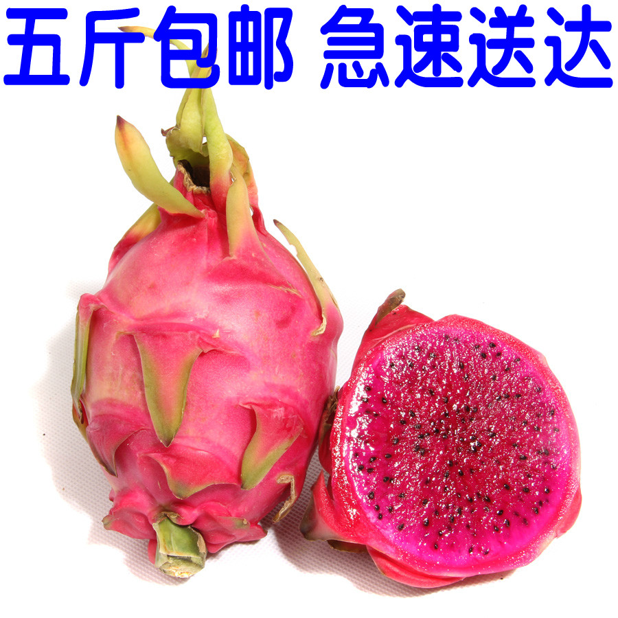 红宝龙火龙果产量图片
