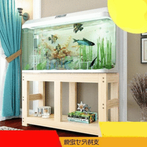 【水族馆热带鱼价格】最新水族馆热带鱼价格\/