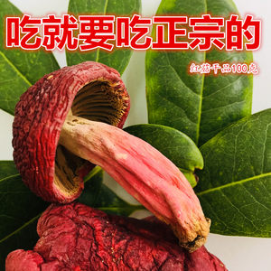 正宗野生蘑菇新鮮幹品紅菌大 span class=h>紅菇 /span>紅椎菌煲湯