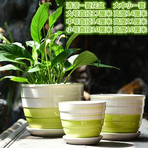 花盆陶瓷简约大号特大号发财树金钱树栽灵芝花