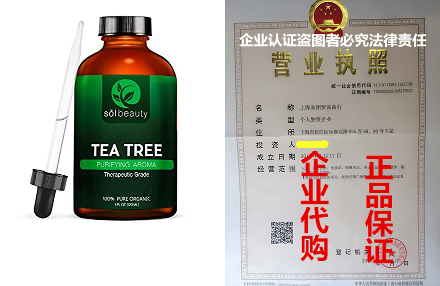 Sol Beauty® Tea Tree Oil - Large 4 oz. 100% Pure Therap