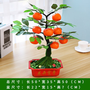 【橘子树盆栽客厅价格】最新橘子树盆栽客厅价