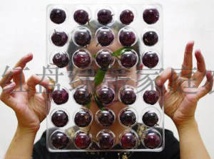 【顺丰全国包邮】新鲜蓝莓 鲜果 甜国产蓝梅特