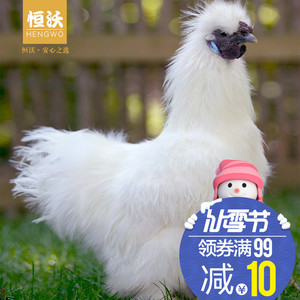 中国名乌 span class=h>鸡 /span>江山乌骨 span class=h>鸡 /span>现